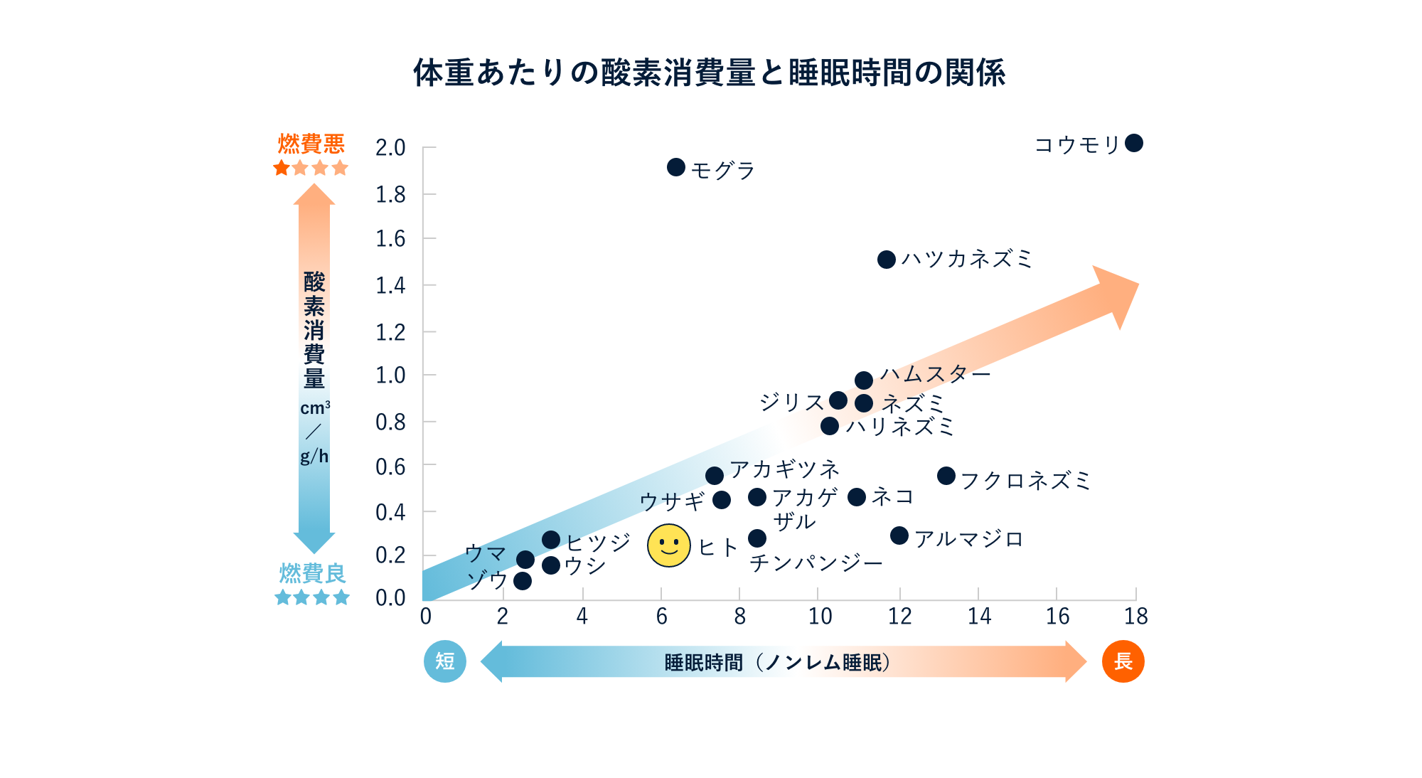 散布図：体重あたりの酸素消費量と睡眠時間の関係の散布図。コウモリから象まで大小さまざまな哺乳類がプロットされている。