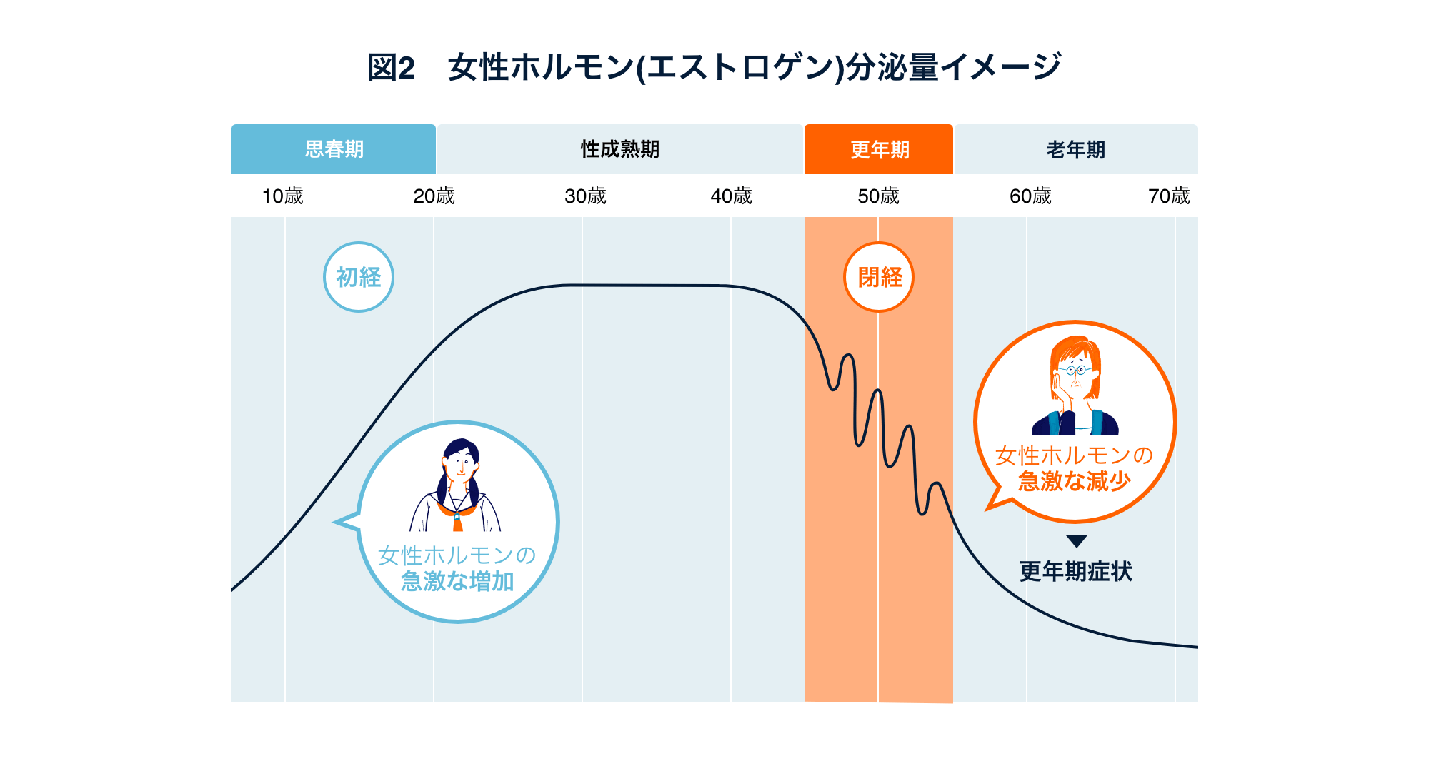 図2：女性ホルモン（エストロゲン）分泌量イメージ。女性ホルモンが、思春期から分泌量が急激に上がり、更年期の乱下降を経て、老年期に下がっていく線グラフ。